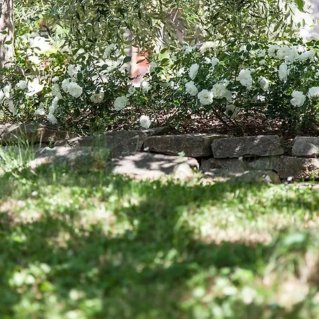 Agriturismo San Lorenzo Çiftlik konaklama