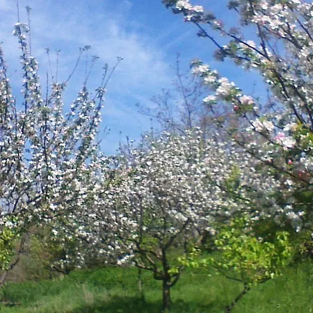 Agriturismo San Lorenzo Çiftlik konaklama