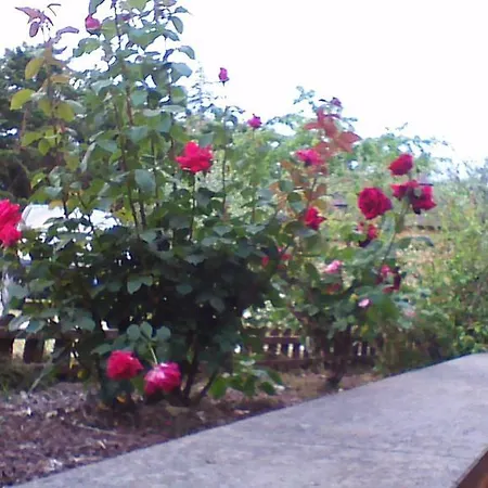 Agriturismo San Lorenzo Casa Castalda