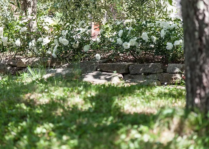 Agriturismo San Lorenzo Séjour à la ferme