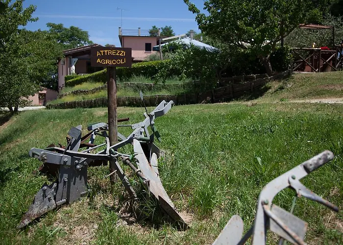 Agriturismo San Lorenzo