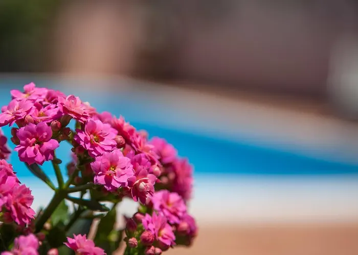 Agriturismo San Lorenzo Séjour à la ferme