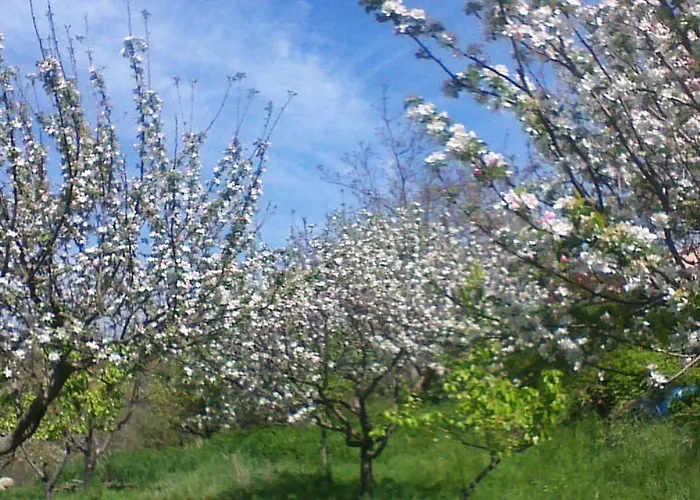 Agriturismo San Lorenzo Séjour à la ferme